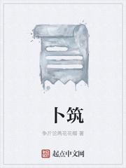 卜筑精校版txt全集