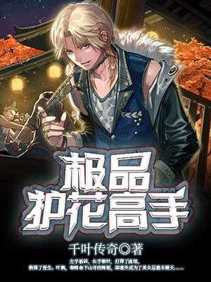 极品护花高手全文免费阅读