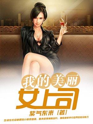 我的美丽女老板