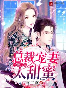 一胎二宝总裁宠妻无度