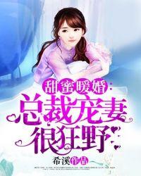 总裁宠妻很狂野全文免费阅读无弹窗