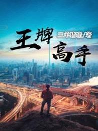 王牌高手txt八戒