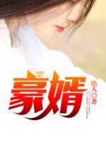 超级女婿境界划分