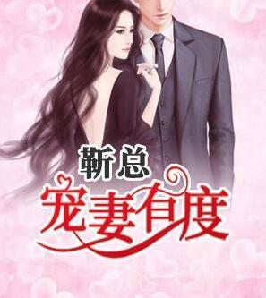 靳总宠妻有度全文
