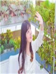 倾城时光共相依温情免费阅读