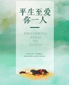 平生至爱你一人目录