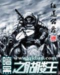 暗黑之骷髅王 全集