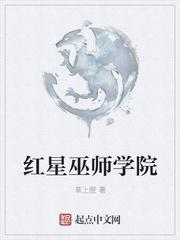 红星巫师学院 顶点