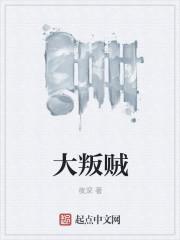 大叛贼txt