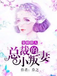 宠婚撩人总裁的小叛妻笔趣阁