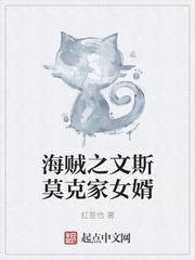 穿越海贼王文斯莫克家族