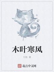 木叶寒风百科