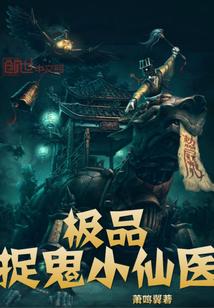 极品小仙医作者林凡