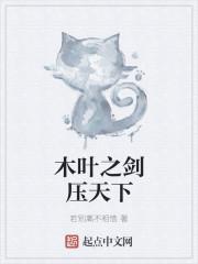 木叶之剑压天下txt