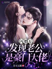 闪婚老公变boss