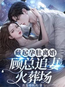藏起孕肚离开吧