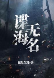 谍海无名精校版