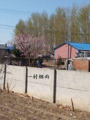 一村烟雨任平生啥意思