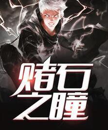 赌石之瞳阅读