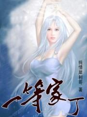 一等家丁漫画