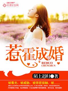 惹霍成婚总裁
