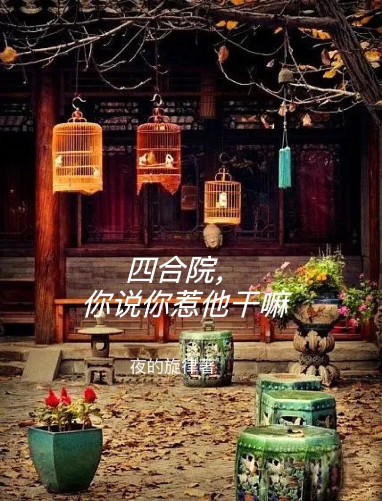 四合院你说你惹他干嘛夜的旋律