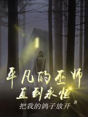 平凡魔法师简介