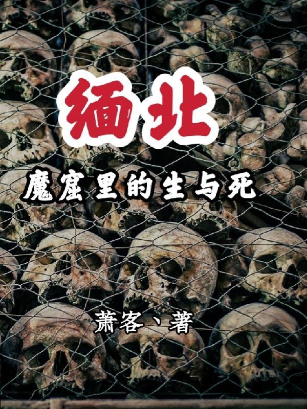 缅北魔窟里的生与死无删减版