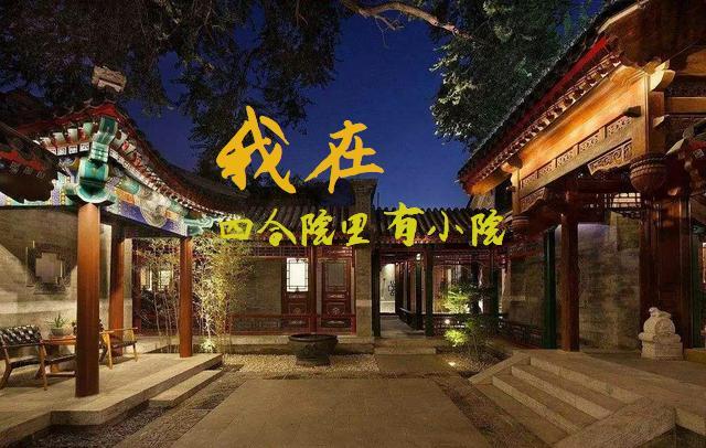 我在四合院里有小院 作者啤酒喝六斤