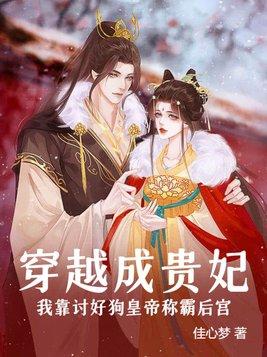 我穿越成贵妃