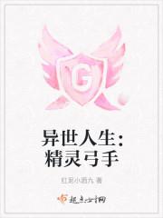 异世人生精灵弓手txt