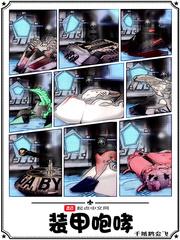 装甲咆哮无防盗