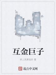 互金巨子txt