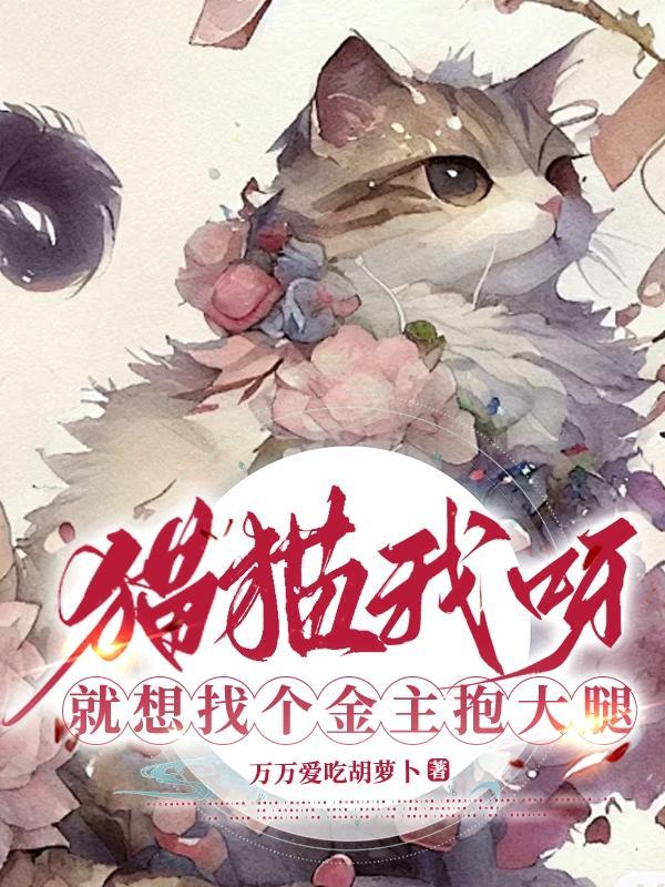 我要找猫