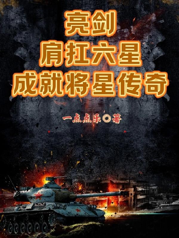 亮剑肩扛六星成就将星传奇
