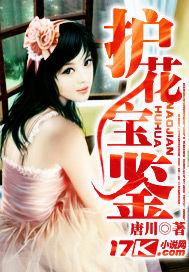 护花宝鉴有声