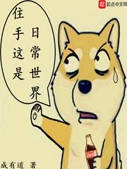 住手这是日常世界txt