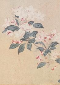 撷春色(强取豪夺)gl