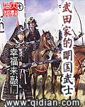 武田家的明国武士李晓的大将