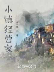 一款经营小镇的游戏