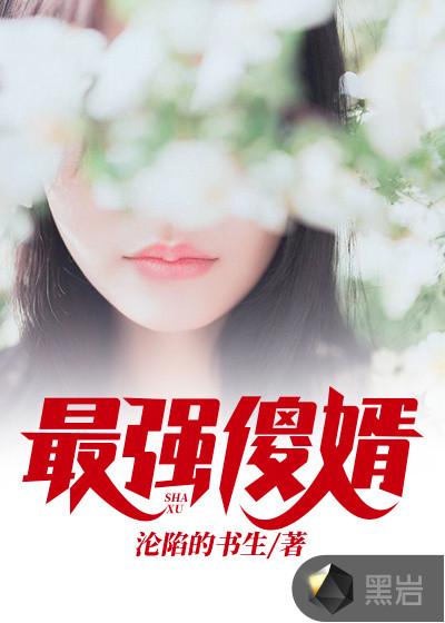 最强傻婿百度百科