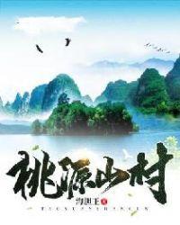 桃源山村百度百科