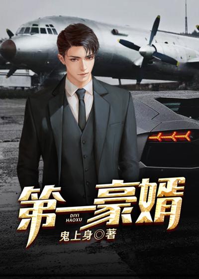 第一豪婿txt完整版