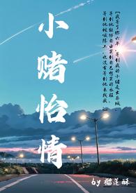 小赌怡情最理想猜一生肖