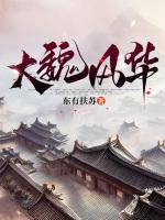 大魏风华第三方