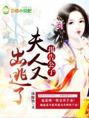 报告皇上之公子已出逃txt