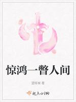 惊鸿一瞥人间盛宴