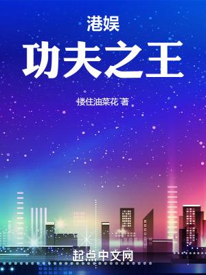 港娱功夫之王TXT下