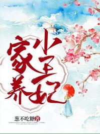 家养小王妃讲的什么