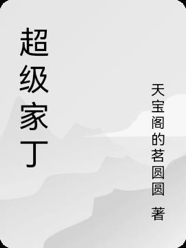 超级家丁的大结局是什么